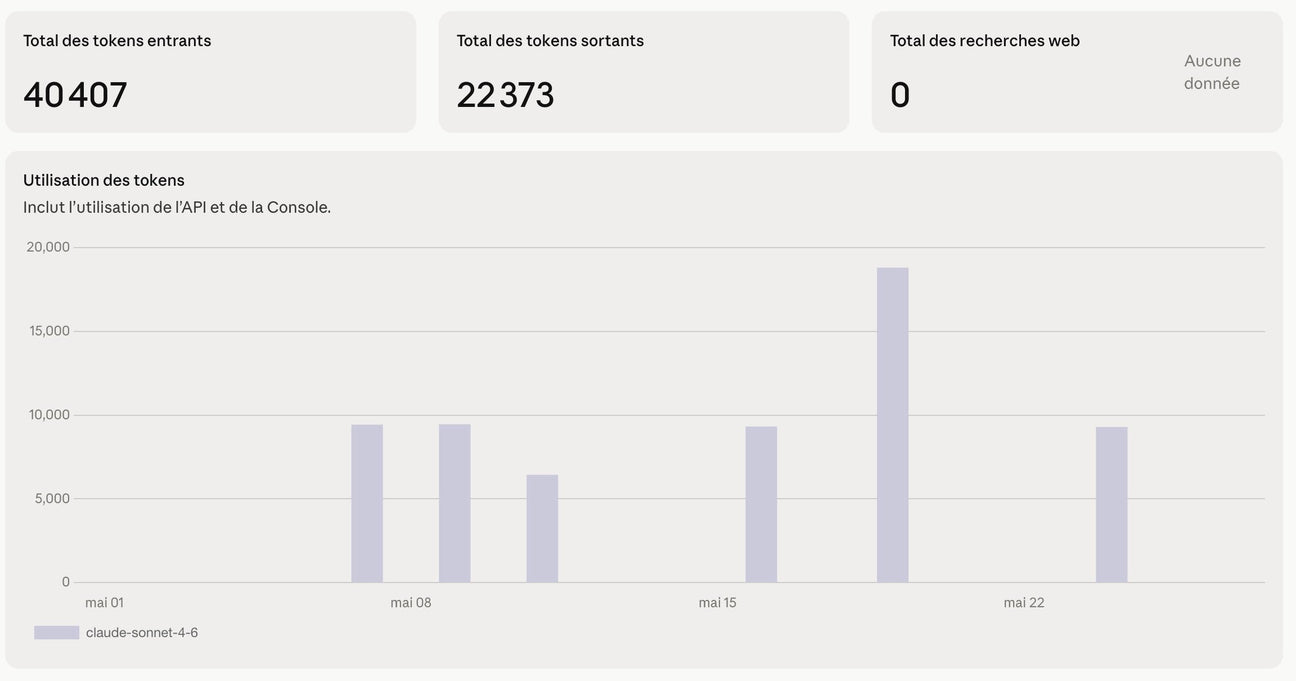 Utiliser Claude pour sa marque e-commerce