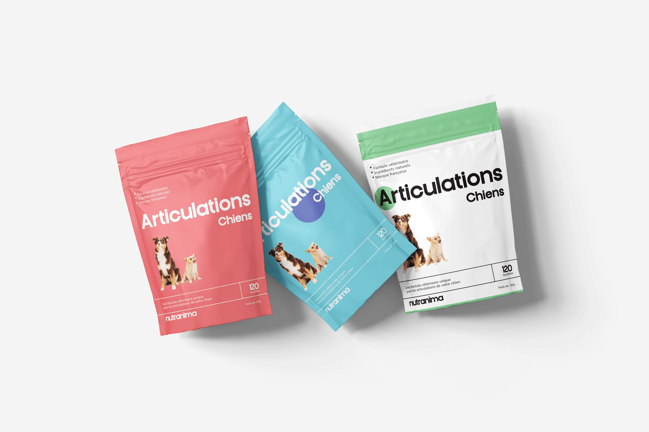 Créer Branding et packagings une marque animaux pet premium